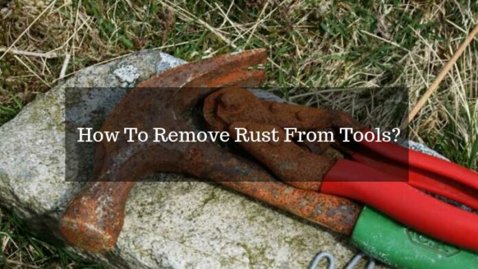6 Pro Tips For How To Remove Rust From Tools?