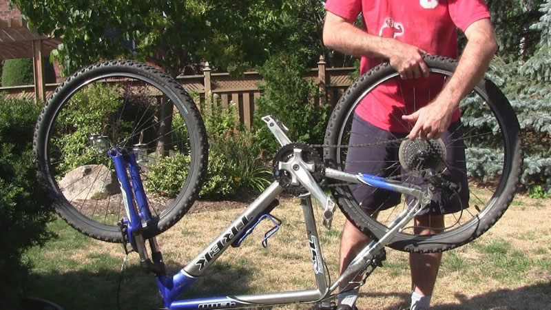 mtb frame bearings