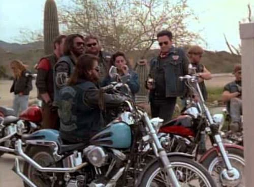 A Movie Based On Real Biker Gangs